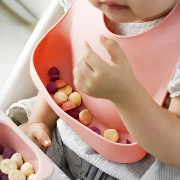 Food Grade Silicone Child Dish - Baby Food Bites ulasan dan harga